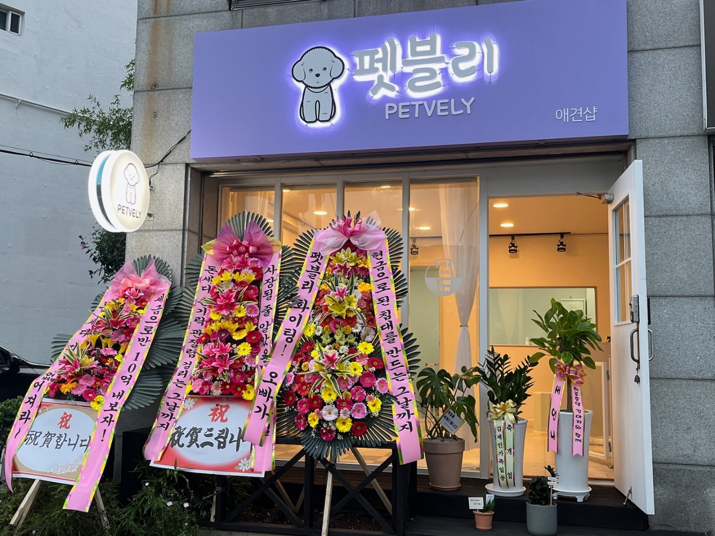 2000769928_5zB39EsC_e7283e058cd3ede104a1881af57253a63132ffab.jpg 이미지크게보기