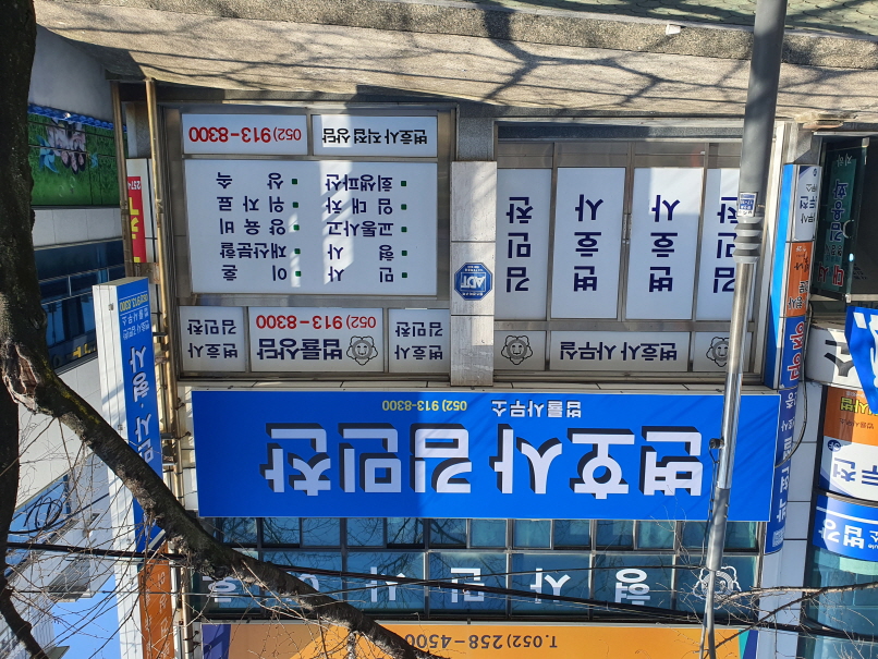 2000769928_C9BQiyxs_53ced728a8828671e606e263851cd1e37eba83b4.jpg 이미지크게보기