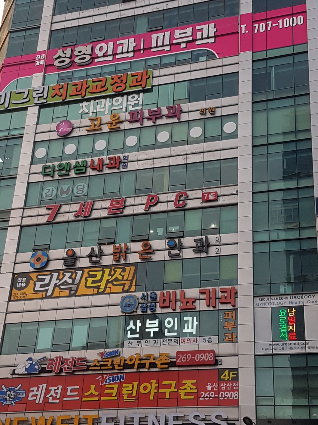 2000769928_GfCnhvd1_6d2069ee066a169cf5a9367de388f9b03d2d7bdf.jpg 이미지크게보기
