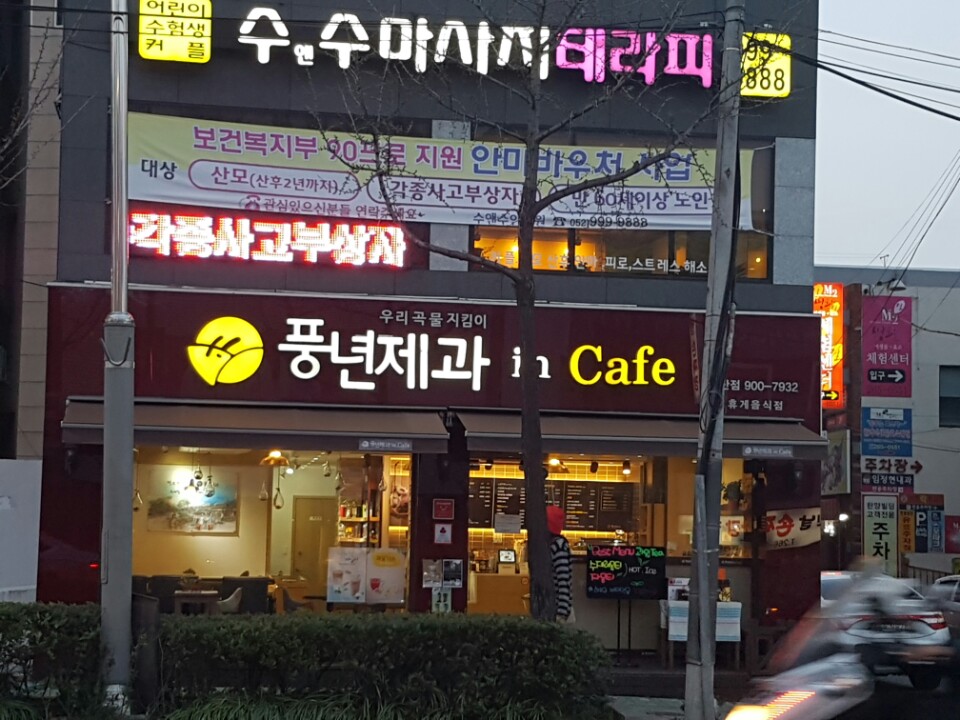 2000769928_YBFo6lQ3_732db9d2f9f9b02e72768e93ab1b5271f0c9664b.jpg 이미지크게보기