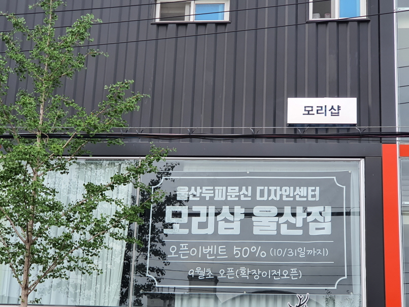 2000769928_Yg7KFTbE_9513aff9706060e4d26e2ed27e3b0f5aa98ad3b4.jpg 이미지크게보기