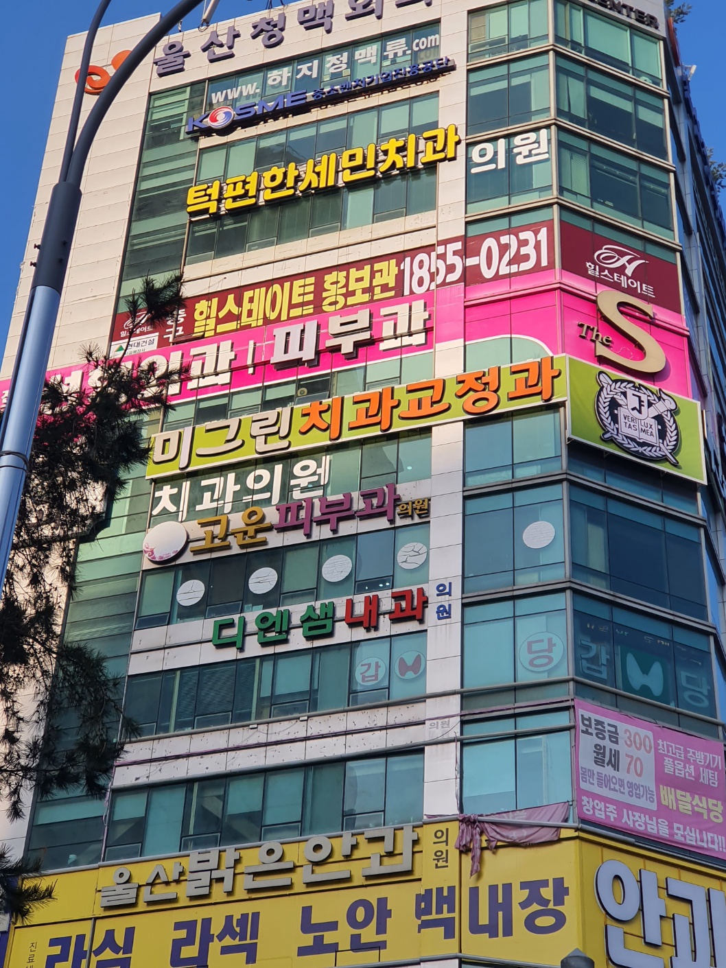 2000769928_yGUwuNWj_cddf8e512cb50aea41658624ad28a5bddcf0ae92.jpg 이미지크게보기